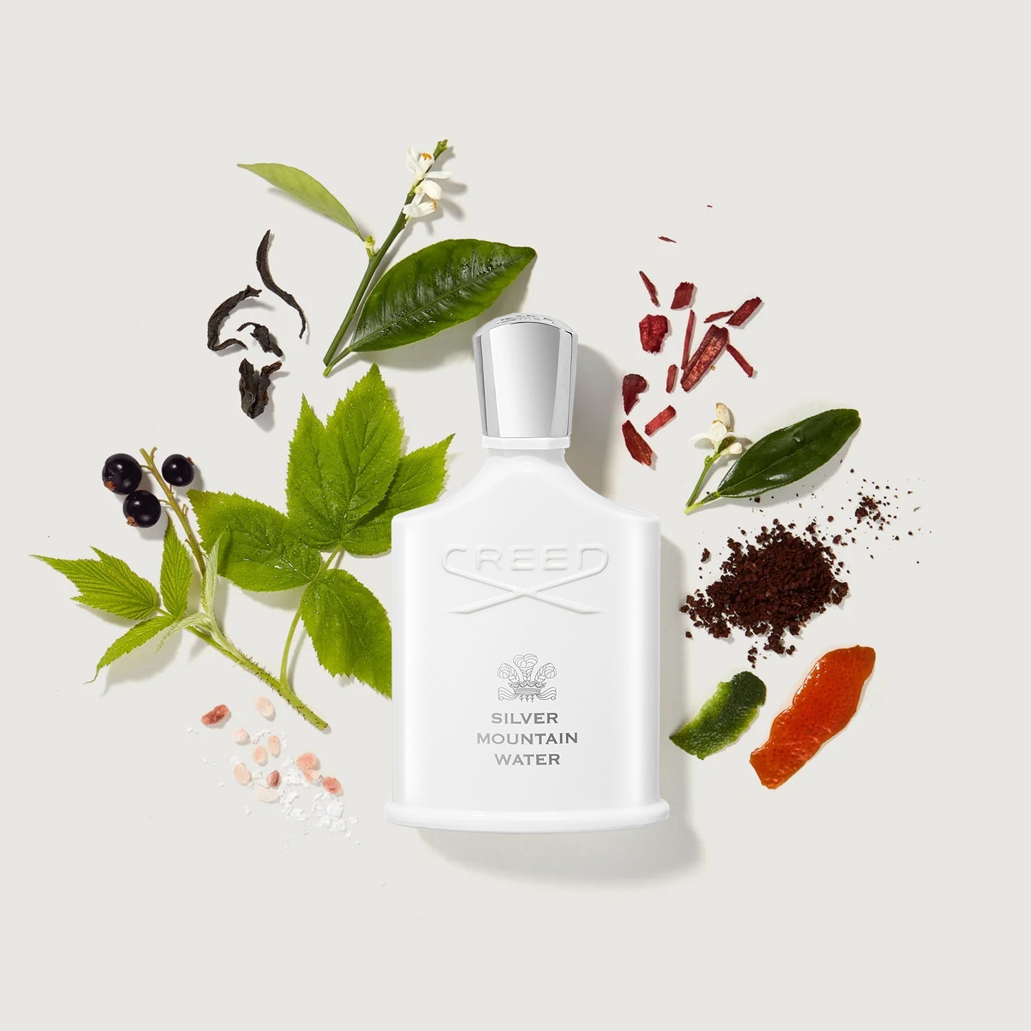 Silver Mountain Water | 100ML
