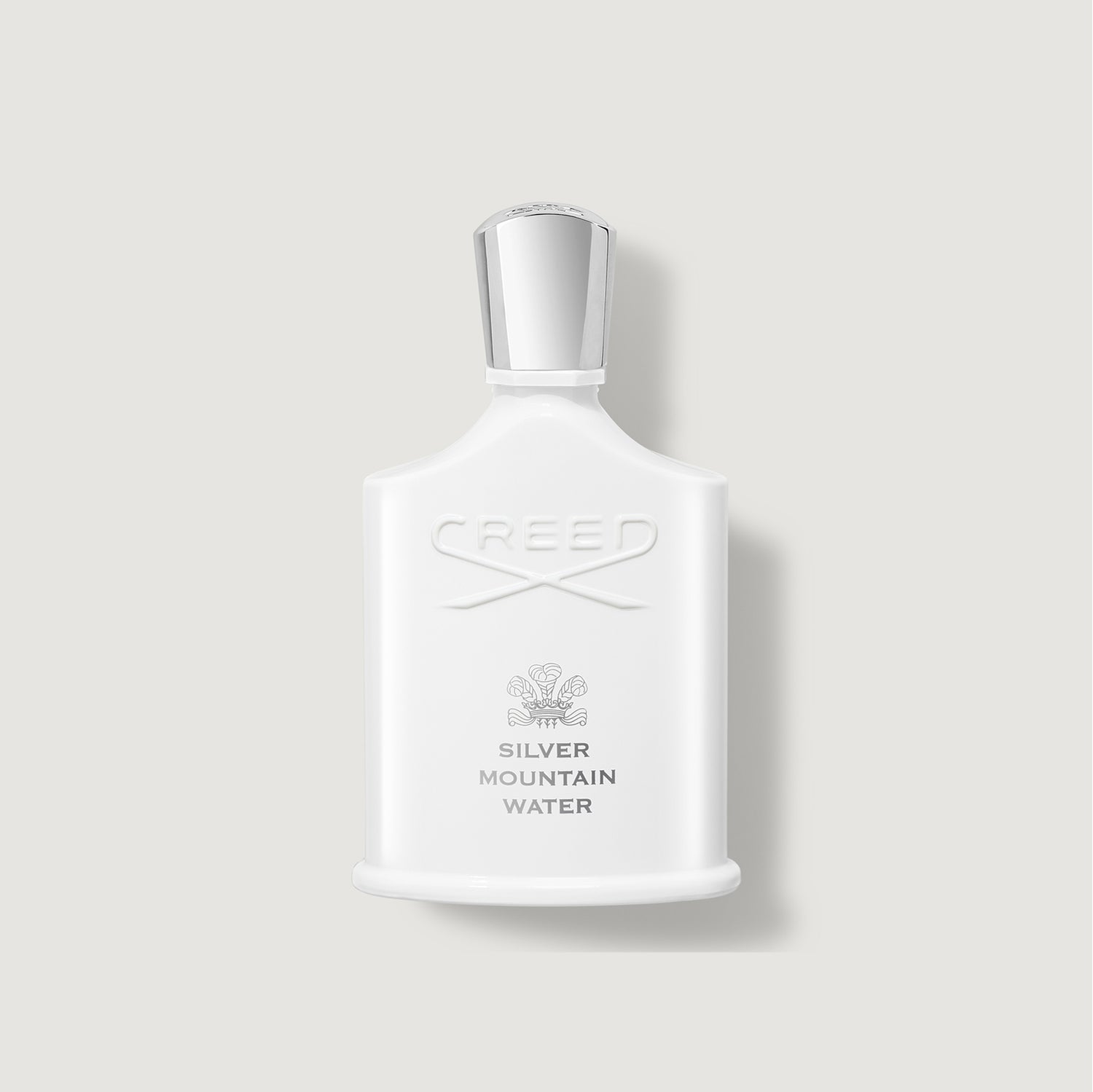 Silver Mountain Water | 100ML